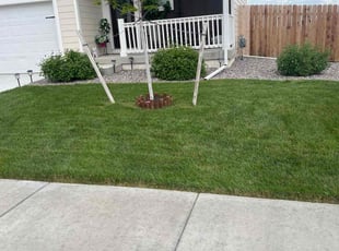Logan J.'s Custom service service result