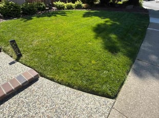 Aswin N.'s turf care service result