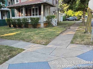Taylor K.'s turf care service result