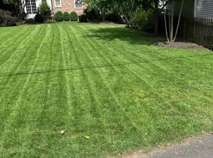 Karen P.'s lawn care service result