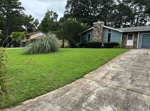 Mike L.'s lawn maintenance service result