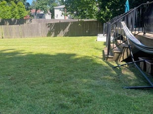 Sheila V.'s grass cutting service result