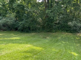 Gasonja C.'s turf care service result