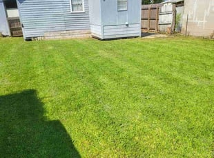 Cathy B.'s turf maintenance service result