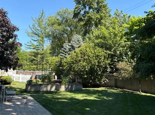 Anthony N.'s lawn care services service result