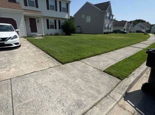 Ron R.'s lawn service service result