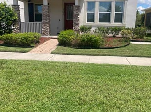 Ramani I.'s lawn service service result