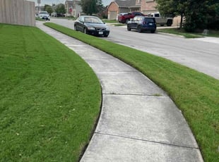 Richard K.'s turf maintenance service result