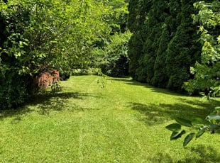 Austin N.'s lawn care services service result
