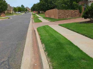 Darlene V.'s gardening service service result