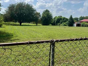 Linda L.'s yard service service result