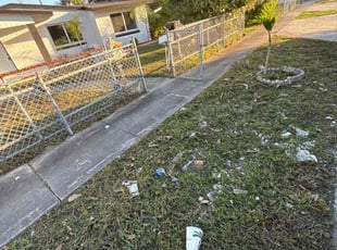 Christina D.'s turf care service result