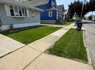 Glenn J.'s lawn care service result