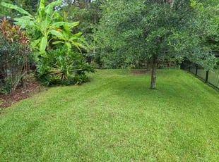 Bella R.'s residential landscaping service result