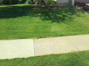 Belinda H.'s turf maintenance service result
