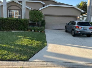 Marty H.'s turf care service result