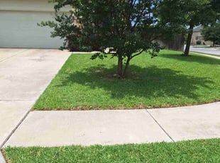 Jarenae W.'s lawn service service result