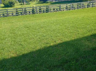 Enna P.'s lawn service service result
