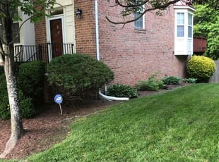 Lincoln F.'s grass maintenance service result