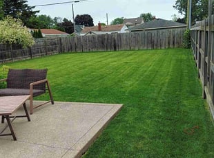 Theresa T.'s lawn service service result