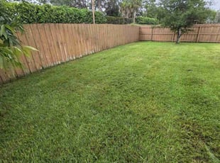 Karen E.'s lawn care service result