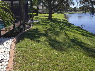 Tim V.'s turf care service result
