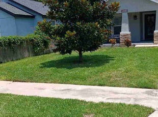 Tawn E.'s lawn service service result