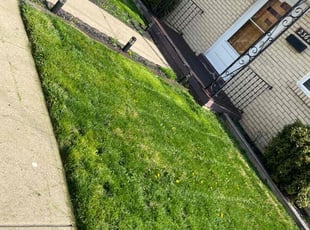 Jennifer W.'s grass cutting service result