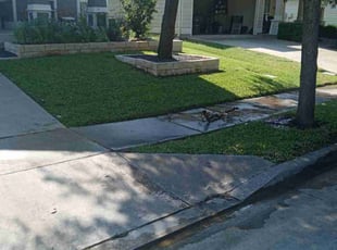 Rebecca M.'s grass cutting service result