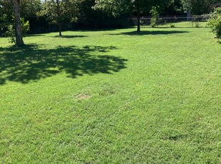 Donald B.'s grass cutting service result