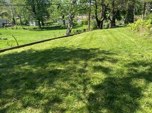 Ifeanyi A.'s lawn service service result