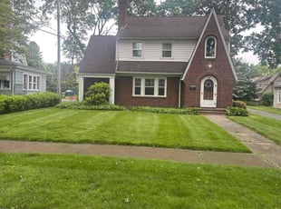 Dominique T.'s lawn care service result