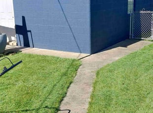 Glen T.'s lawn care service result