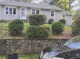 Isabella S.'s Bush Trimming service result