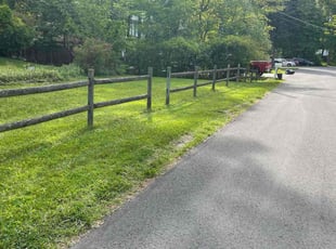 Sidney C.'s Long Grass Cleanup service result