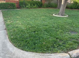 Carvin W.'s lawn maintenance service result