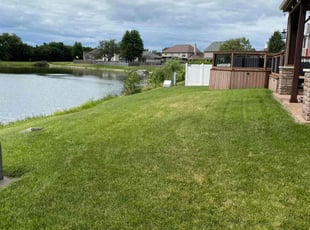 Corey B.'s grass maintenance service result