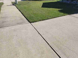 Larry E.'s turf care service result