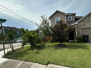 Jarrod D.'s grass cutting service result