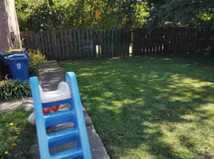 Pat D.'s lawn care services service result