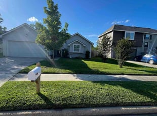 Allen K.'s grass cutting service result