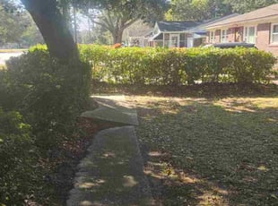 Paul H.'s Bush Trimming service result