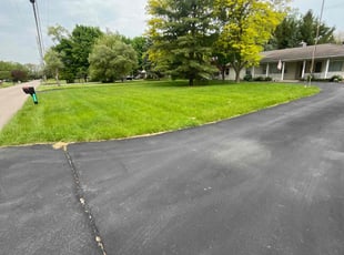 Tene T.'s lawn care service result