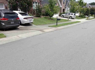Vanessa B.'s lawn care services service result