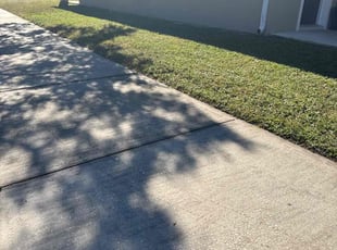 Kelsey B.'s turf care service result