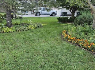 Grace K.'s turf care service result