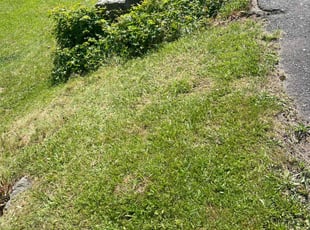 Scott B.'s lawn service service result