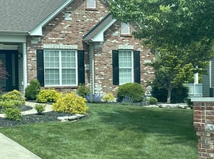 Darwin P.'s lawn service service result