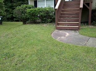 Edison C.'s lawn care service result
