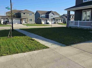 Nicholas W.'s lawn care service result